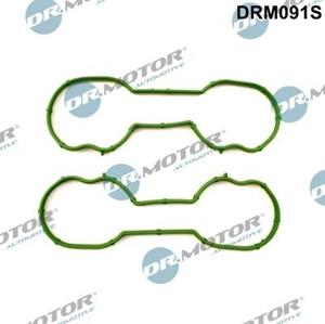 dr.motorautomotive Dichtungssatz, Ansaugkrümmer Dr.Motor Automotive DRM091S