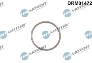 dr.motorautomotive Dichtung, Kraftstoffpumpe Dr.Motor Automotive DRM01472