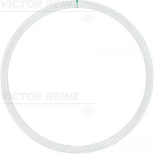 Reinz Cilinderkop pakking 61-25315-10