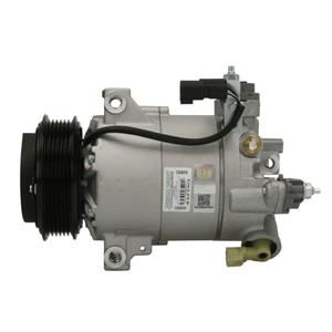 Klimakompressor DELPHI CS20570