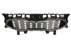 Kia Radiateurgrille