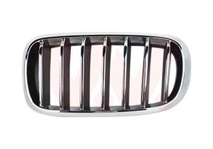 Bmw Grille L. Sierrooster