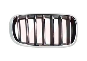 Bmw Grille R. Sierrooster