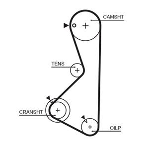 Gates Distributieriem 1075RM