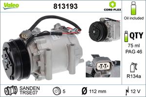 Valeo Airco compressor 813193