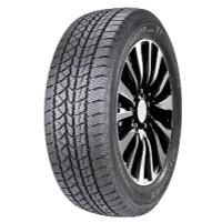 'Double Star' 'Double Star DW02 (195/55 R15 85T)'