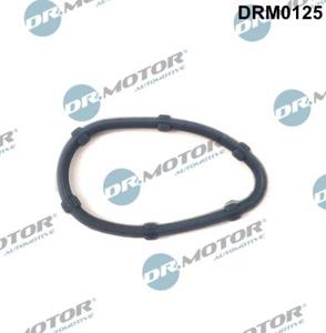 dr.motorautomotive Dichtung, Ansaugkrümmer Zylinderkopf Dr.Motor Automotive DRM0125