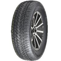 Royal Black Winter HP (215/65 R16 98H)