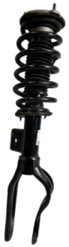 Tesla Pneumatische Veerpoot