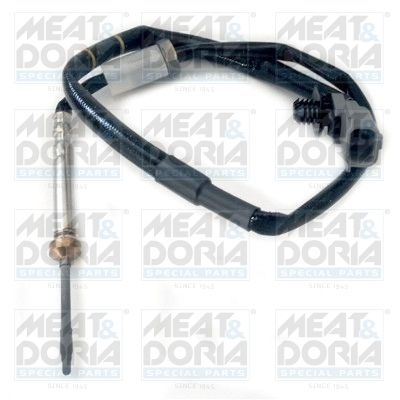 Opel Sensor, uitlaatgastemperatuur