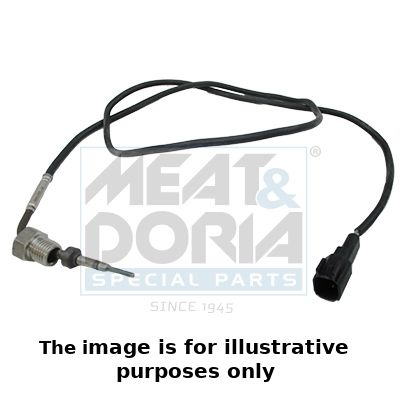Ford Sensor, uitlaatgastemperatuur