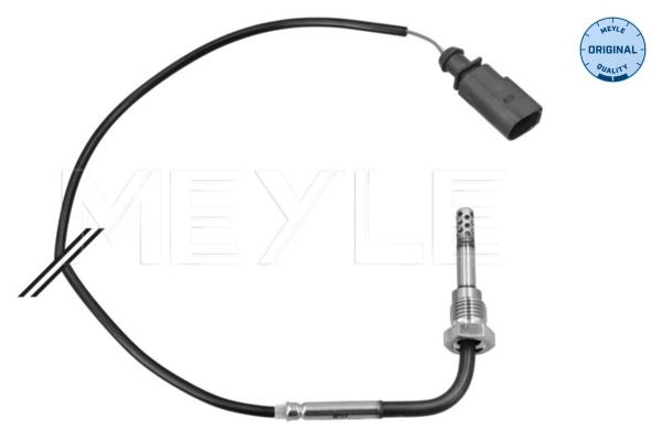 Audi Sensor, uitlaatgastemperatuur