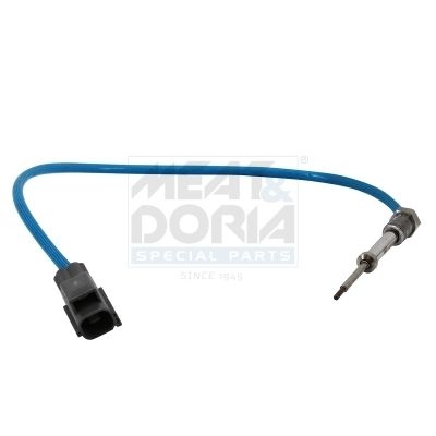 Ford Sensor, uitlaatgastemperatuur