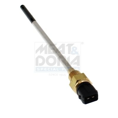 Renault Sensor, motoroliepeil