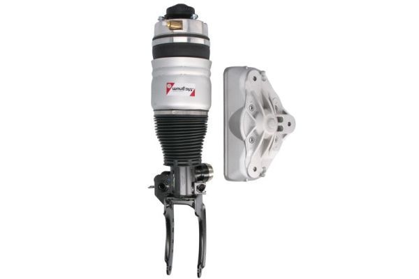 Audi Pneumatische veerpoot