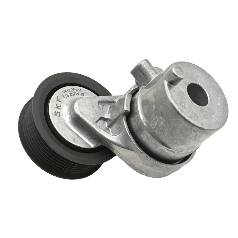Renault Riemspanner, Poly V-riem