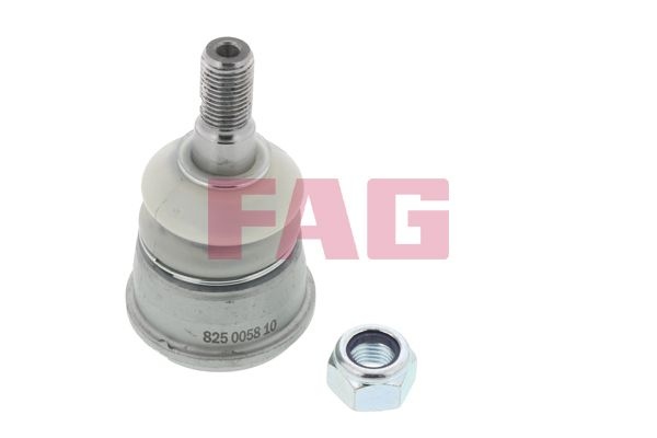 Mercedes-Benz Fuseekogel