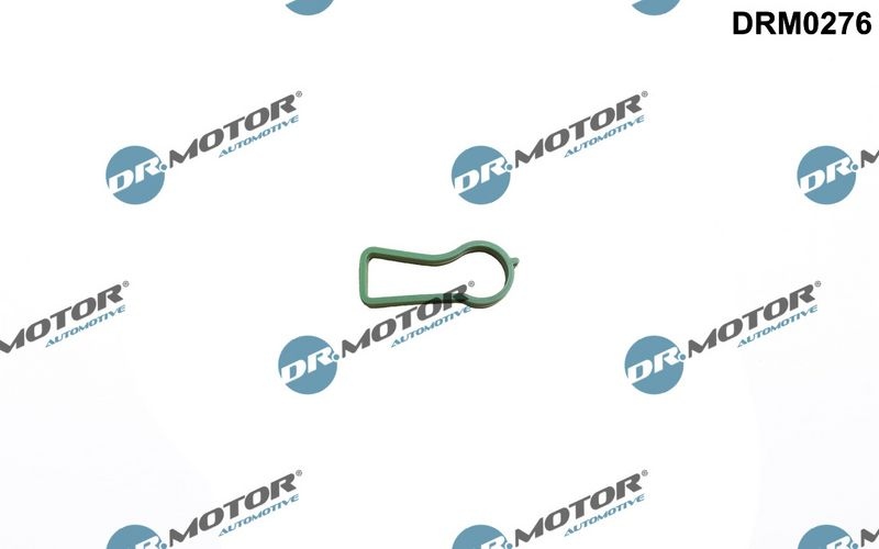 Chevrolet Pakking, inlaatspruitstuk