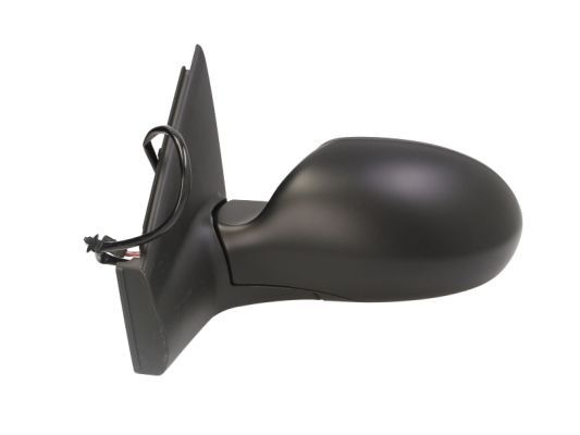 Citroen Buitenspiegel