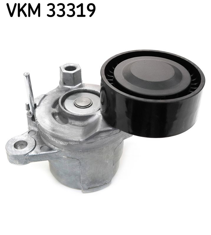 Citroen Riemspanner, Poly V-riem