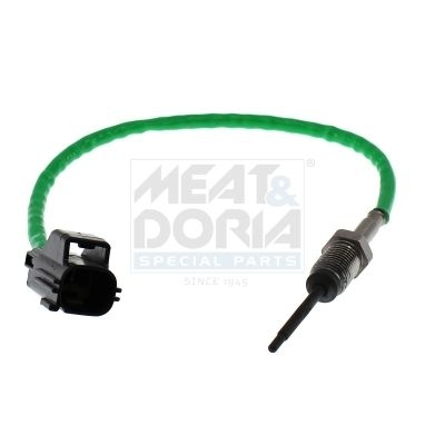 Ford Sensor, uitlaatgastemperatuur