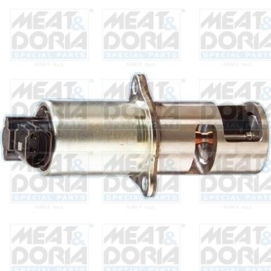 Nissan EGR-klep