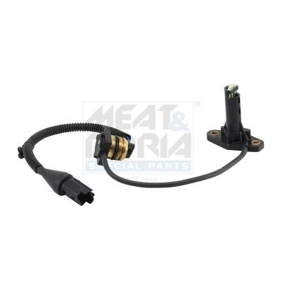 Alfa Romeo Sensor, koelvloeistofpleil