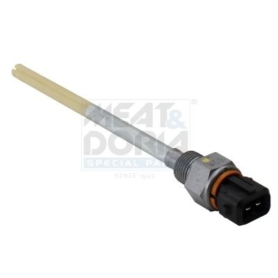 Renault Sensor, motoroliepeil