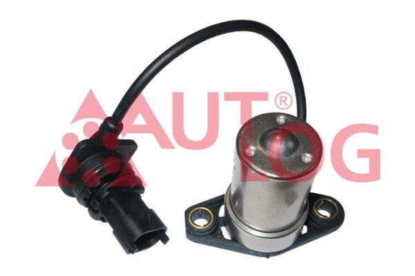 Chevrolet Sensor, motoroliepeil