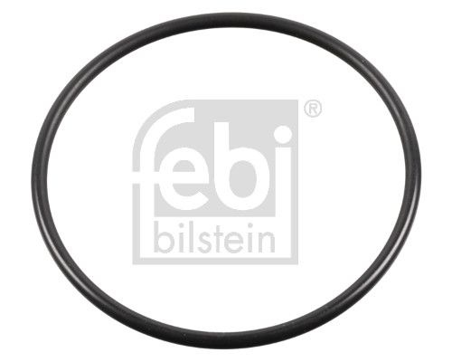 Iveco Dichtring, fuseelager