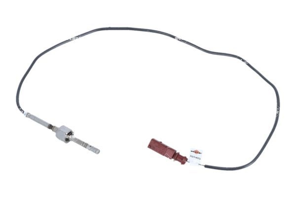 Volkswagen Sensor, uitlaatgastemperatuur EASY FIT