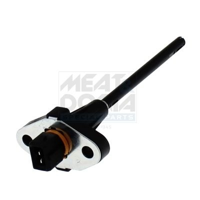 Renault Sensor, motoroliepeil