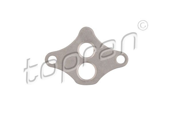Opel Afdichting, EGR-klep
