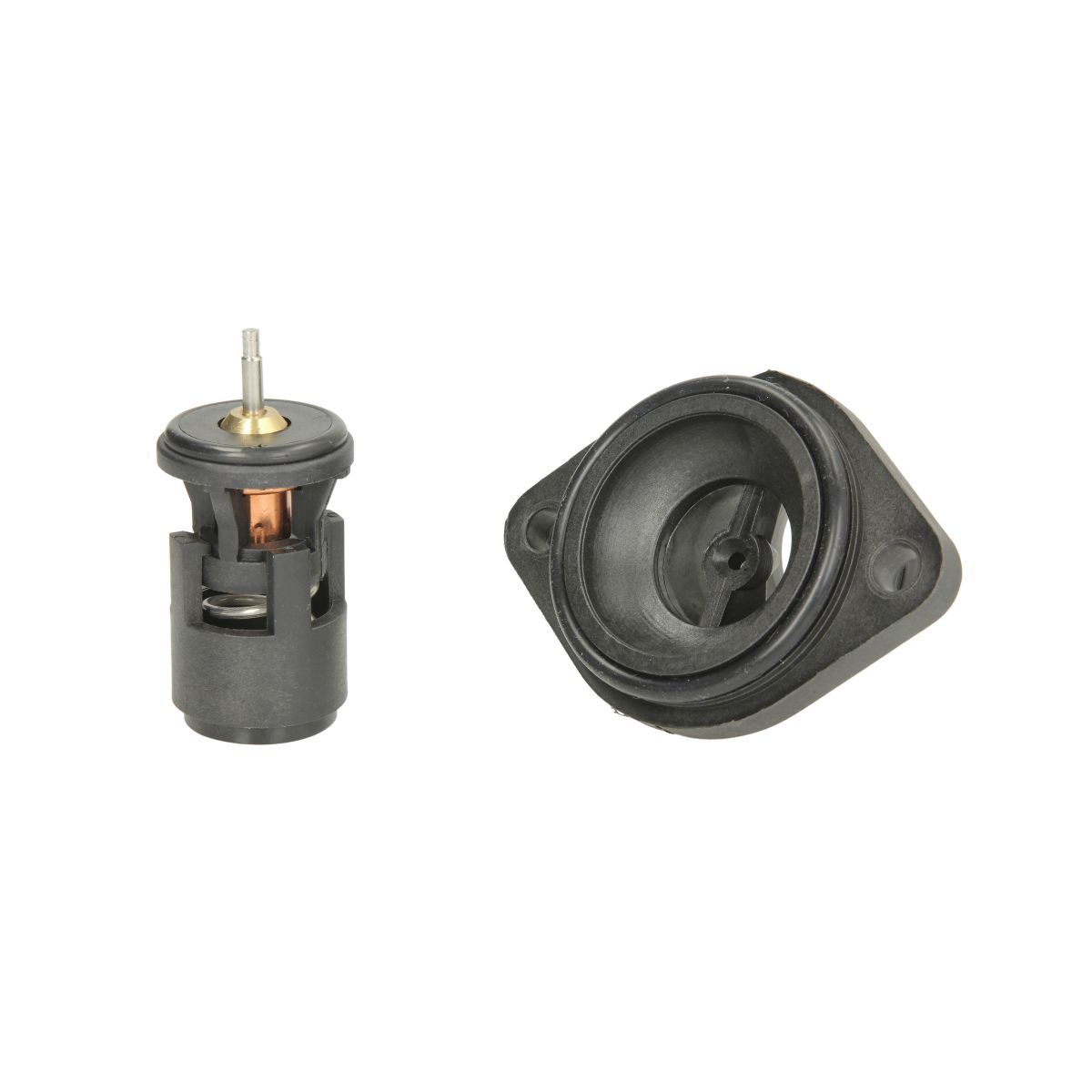 Thermotec Thermostaat, koelvloeistof  D2W004TT