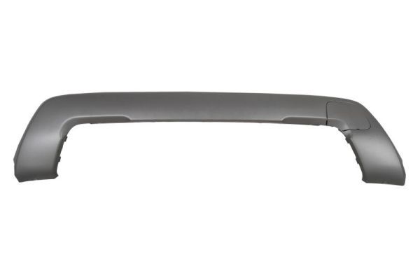 Dacia Sier- / beschermingspaneel, bumper