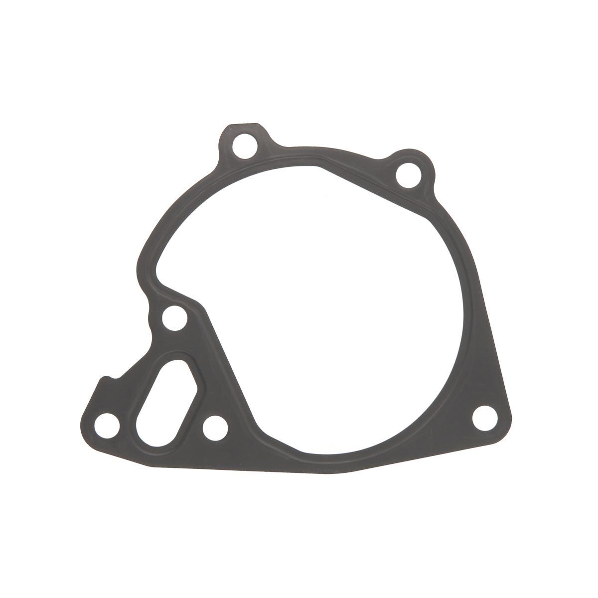 Elring Pakking, waterpomp  934.720