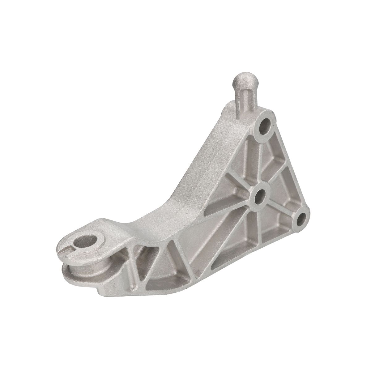 Reinhoch Rubber carrosserie, motorophanging  RH11-5092