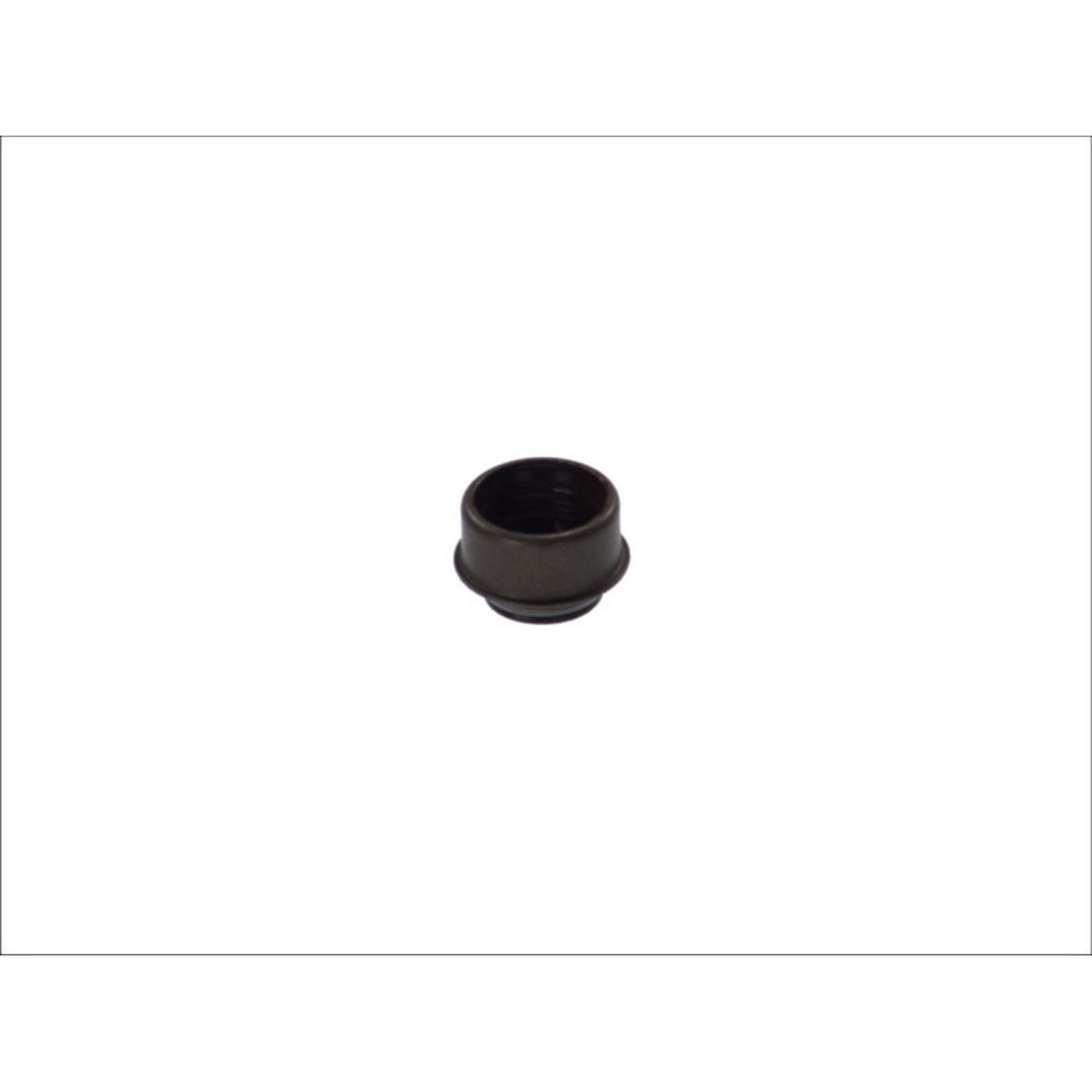 Elring Pakking klepsteel  582.425