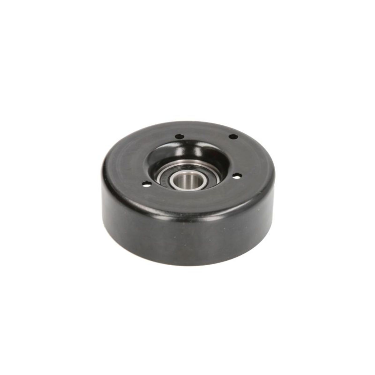 Bta Spanpoelie, V-riem  E2M0015