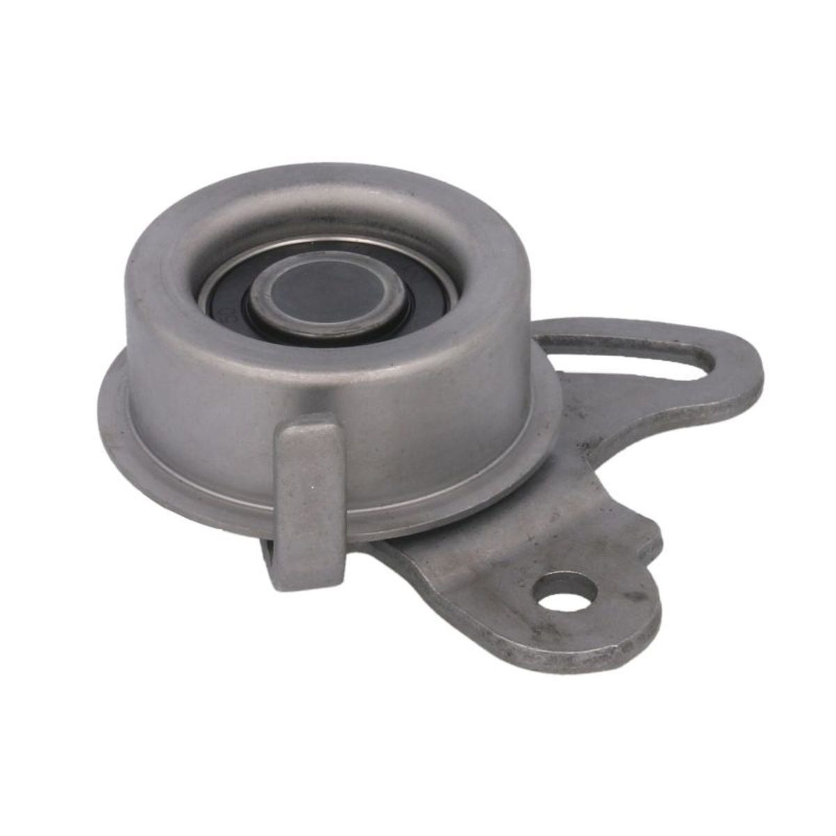 SKF Tandriempoelie  VKM 75100
