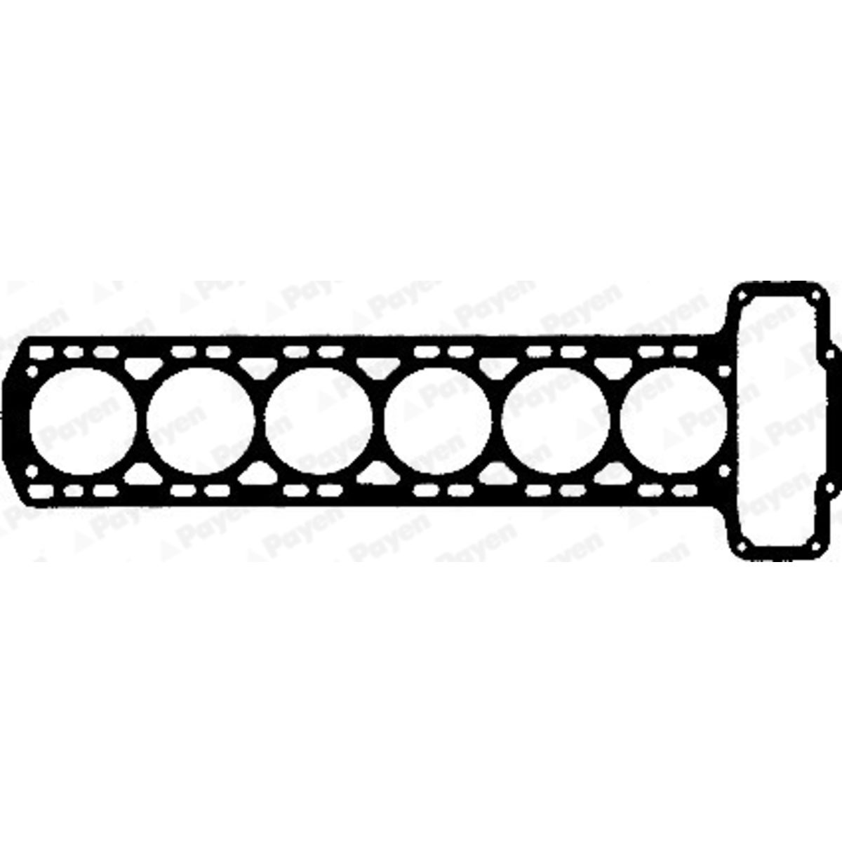 Payen Cilinderkoppakking  AG570