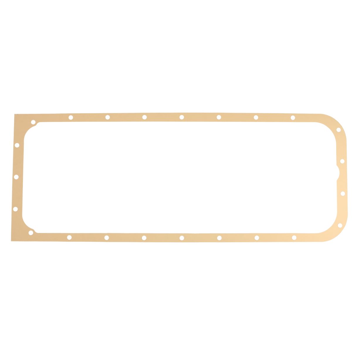 Reinz Pakking, oliepomp  71-23849-00