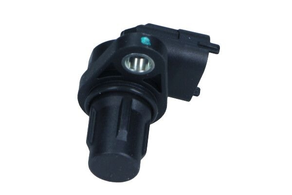 Jaguar Nokkenassensor