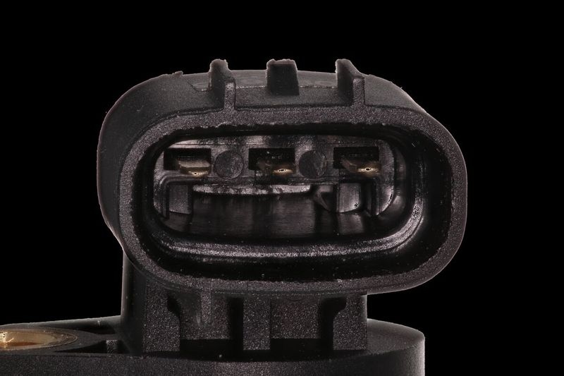 Suzuki Nokkenassensor