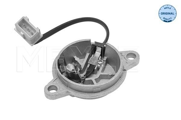 Renault Nokkenassensor