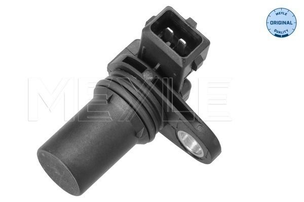 Ford Nokkenassensor