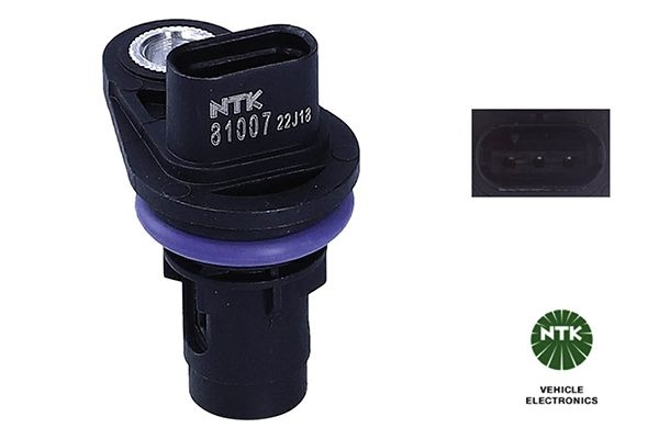Land Rover Nokkenassensor