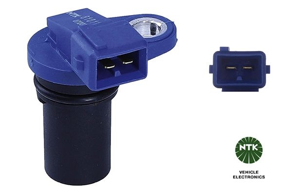 Ford Nokkenassensor