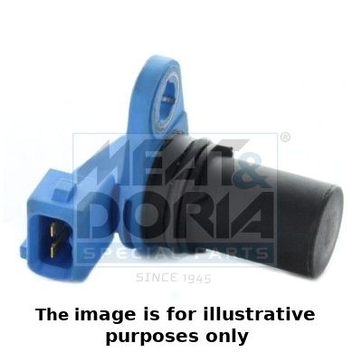 Ford Nokkenassensor