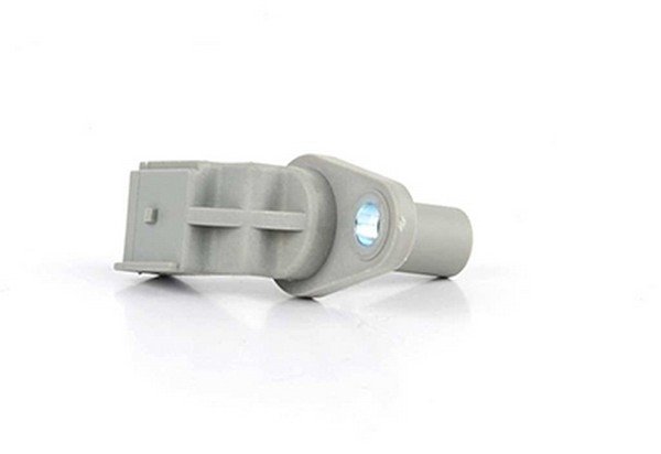 Ford Nokkenassensor